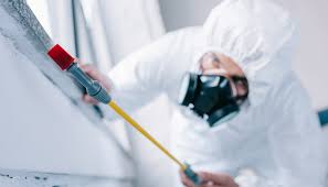 Best Termite Inspection and Treatment  in Souderton, PA